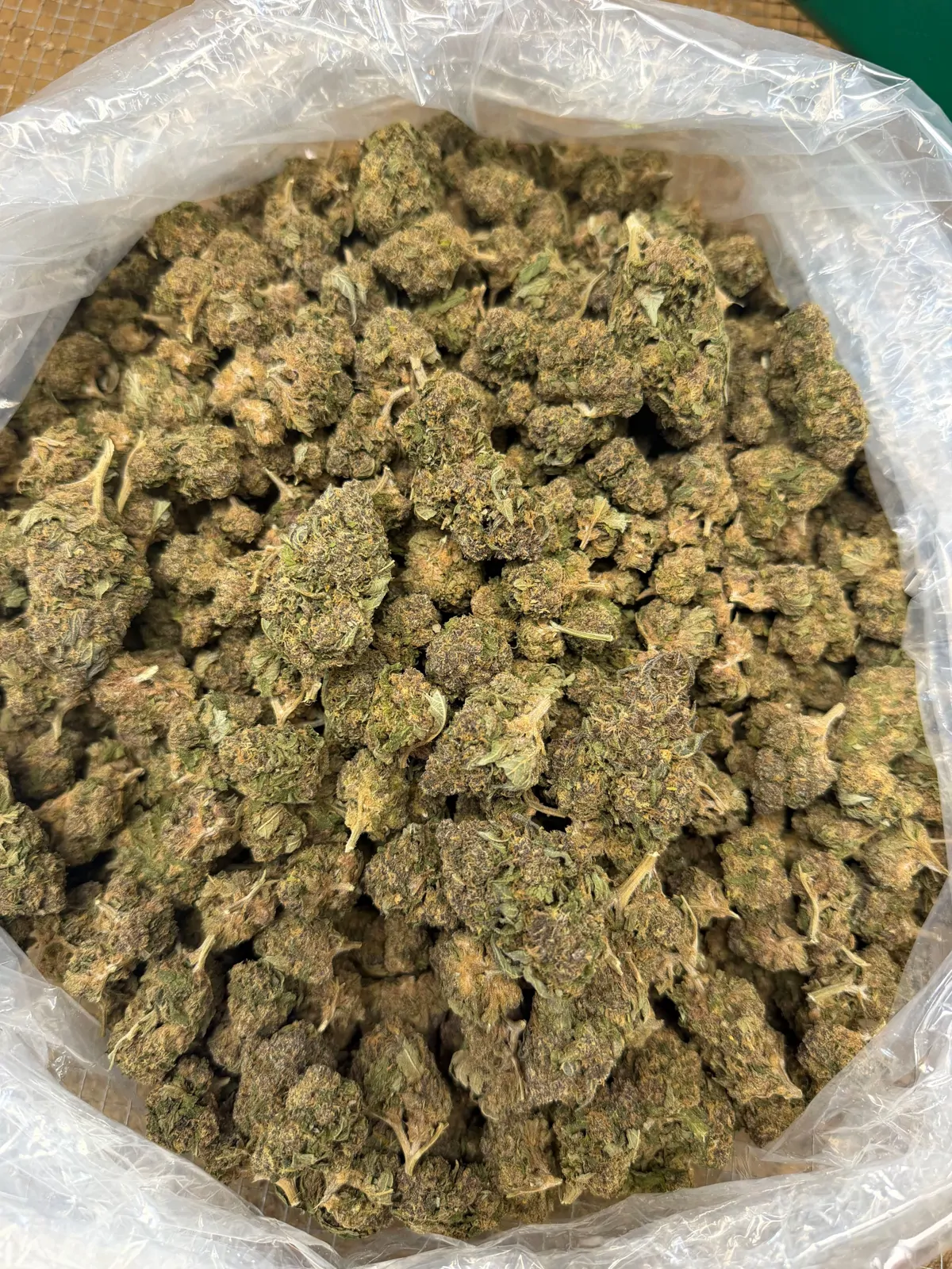 Panama Red Flower